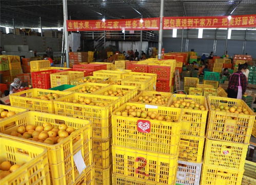 电商壹周 拼多多开启农产品“原产地直发”，如何破解初级农产品上的死结？